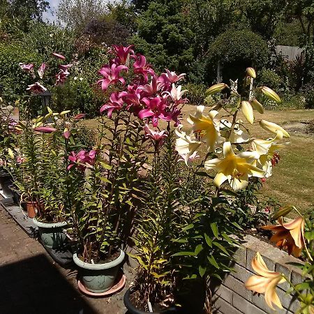 פולקסטון Cherry Garden B&B מראה חיצוני תמונה