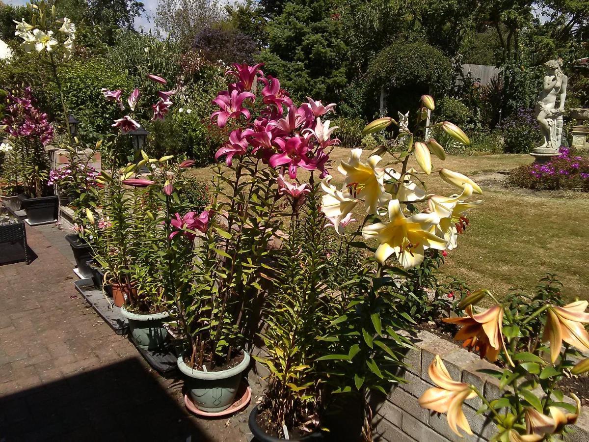 פולקסטון Cherry Garden B&B מראה חיצוני תמונה